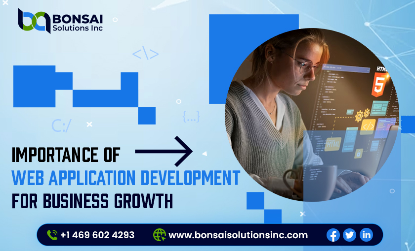 Importance Of Web Application Development For Business Growth